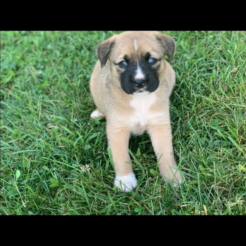 Meet your Posher, Karina